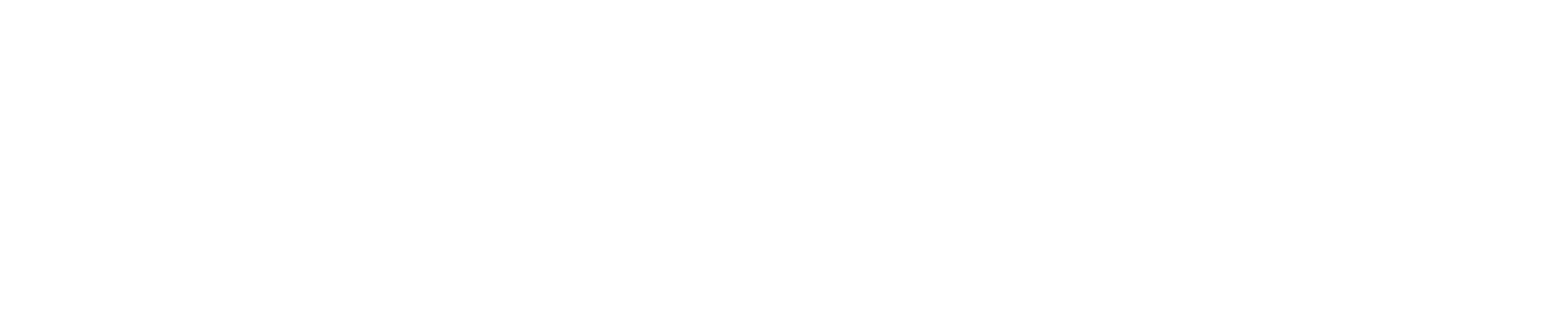 Logo Traveneo.com